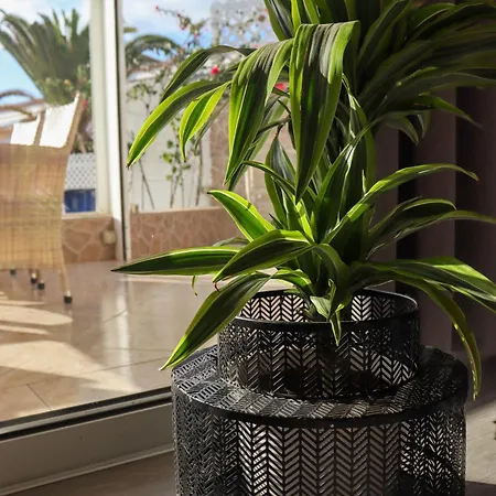 -tenerife Holiday home *