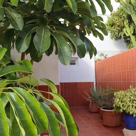 -tenerife Holiday home *